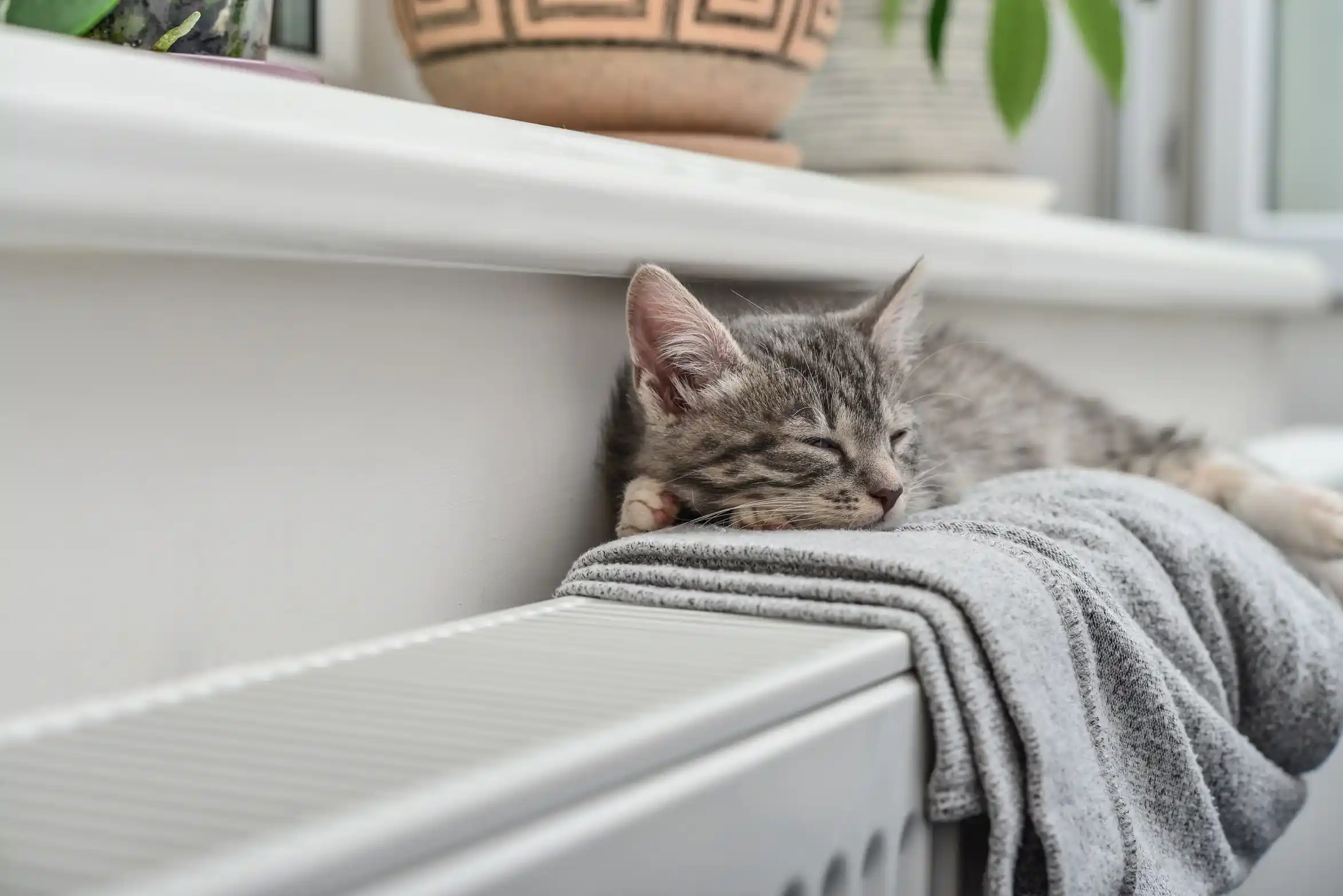 chat endormi au chaud sur un radiateur a inertie